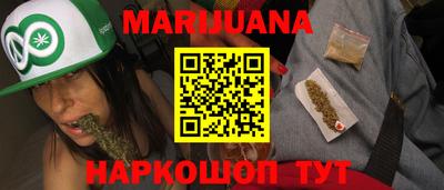 apvp Кингисепп