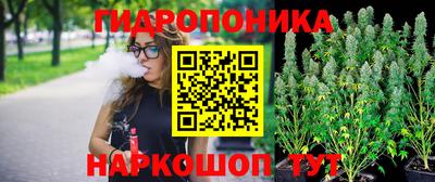 apvp Кингисепп
