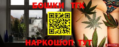 apvp Кингисепп