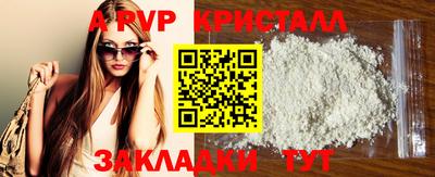 apvp Кингисепп