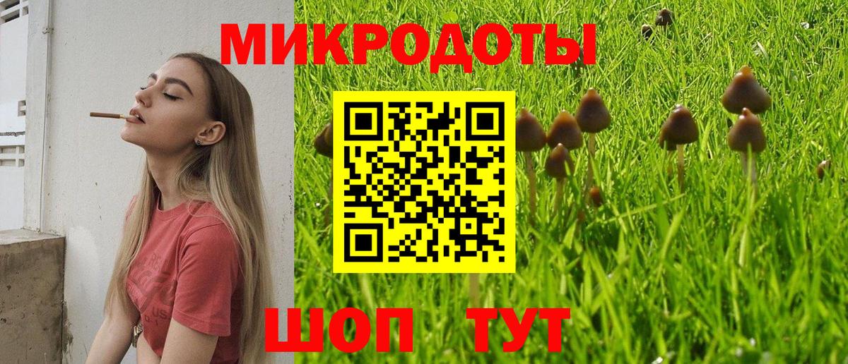 Псилоцибиновые грибы Psilocybine cubensis  Вход с VPN  Псилоцибиновые грибы GOLDEN TEACHER  Кострома 